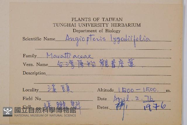 Vessel fern Collection Image, Figure 2, Total 2 Figures