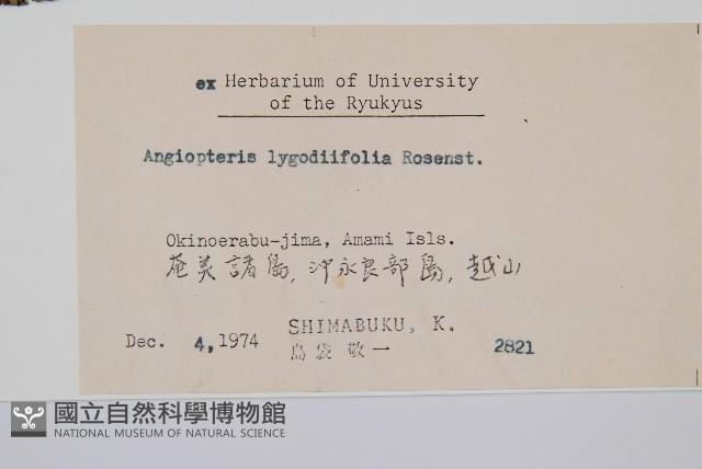 觀音座蓮藏品圖，第2張