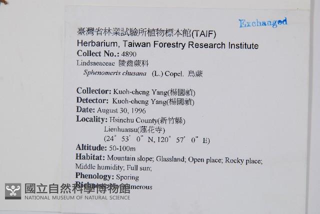 烏蕨藏品圖，第2張