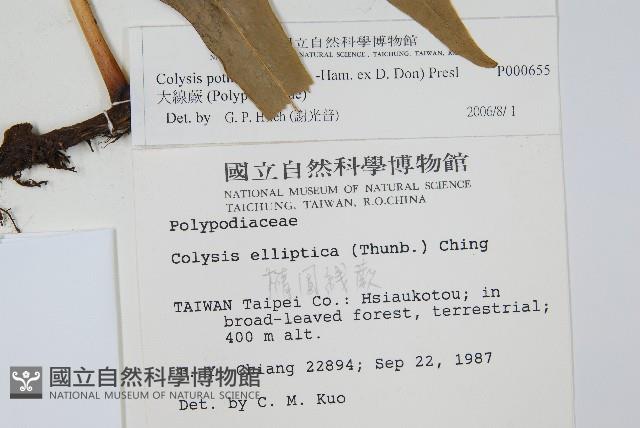 Accession Number:P000655 Collection Image, Figure 2, Total 2 Figures