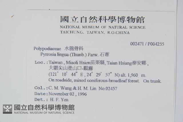 石葦藏品圖，第2張