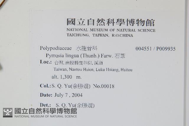 石葦藏品圖，第2張