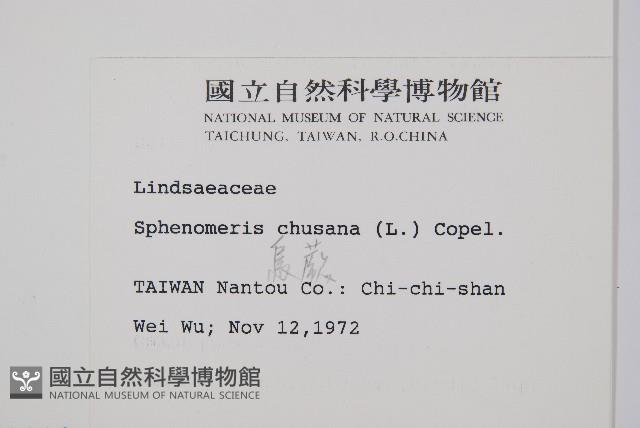 烏蕨藏品圖，第2張