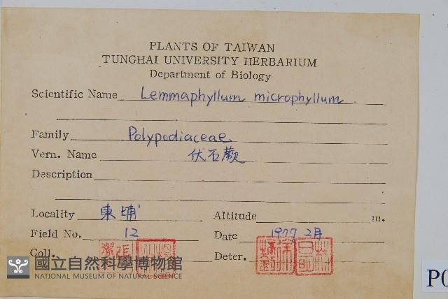 Accession Number:P007185 Collection Image, Figure 2, Total 2 Figures