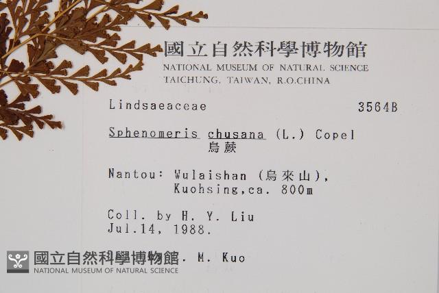 烏蕨藏品圖，第2張