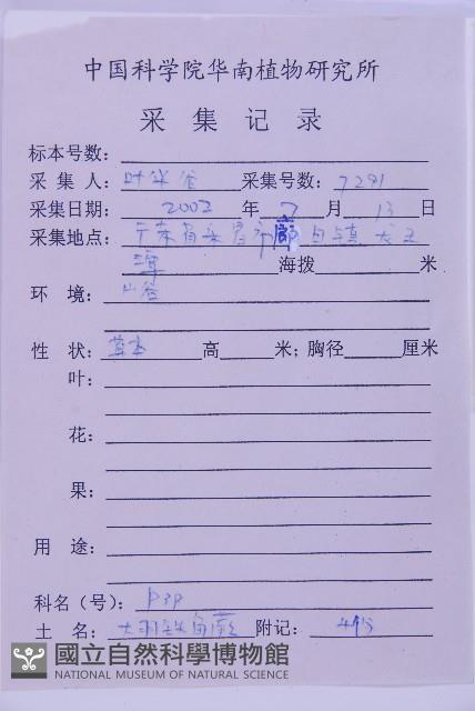 黑鱗鐵角蕨、假大羽鐵角蕨、大羽鐵角蕨藏品圖，第6張