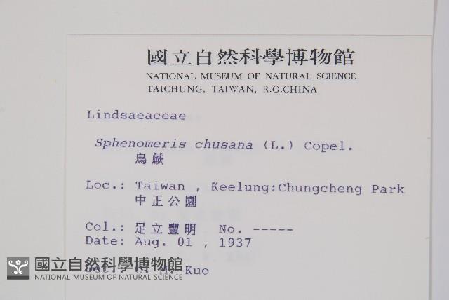 烏蕨藏品圖，第2張