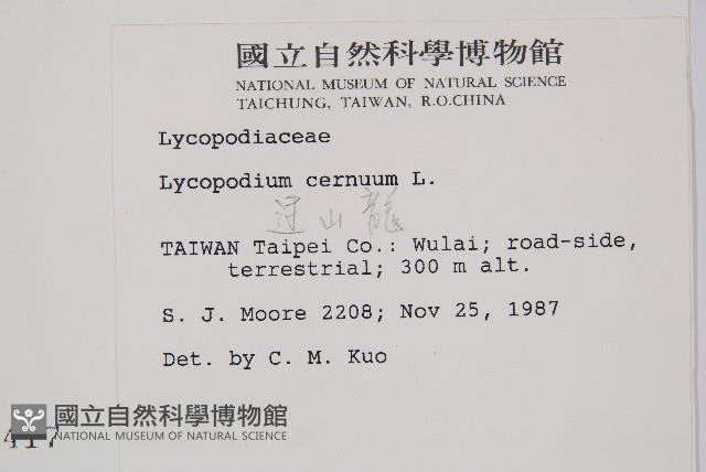 過山龍藏品圖，第2張