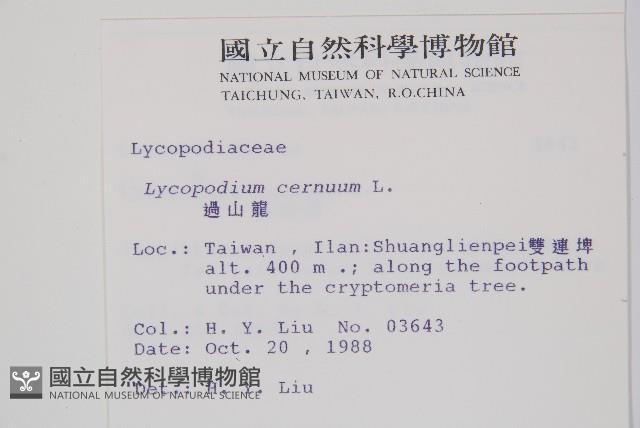 過山龍藏品圖，第2張