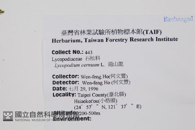 過山龍藏品圖，第2張