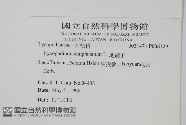 地刷子藏品圖，第2張