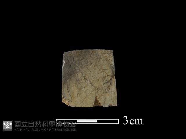 錛鑿形器藏品圖，第3張