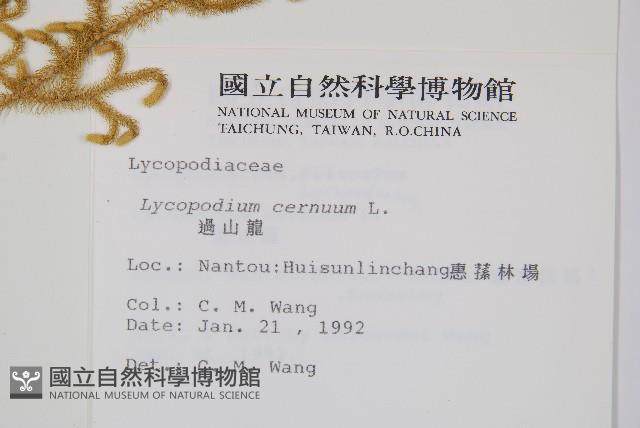 過山龍藏品圖，第2張