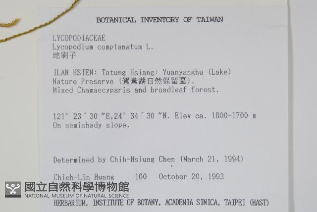 地刷子藏品圖，第2張