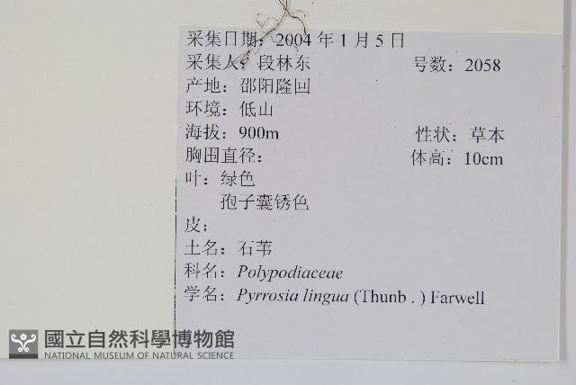 石葦藏品圖，第2張