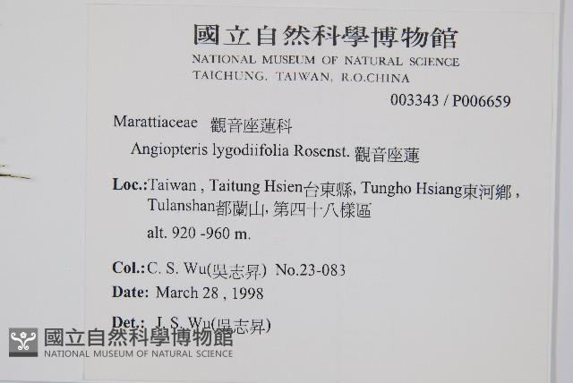 觀音座蓮藏品圖，第2張