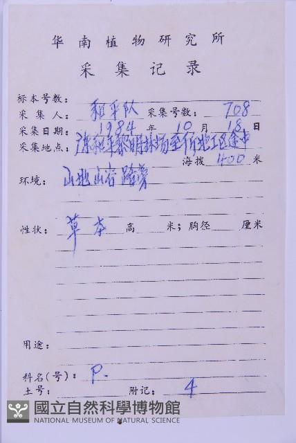 生芽鐵角蕨藏品圖，第3張