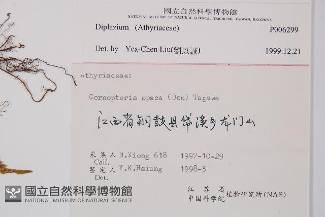 登錄號:P006299藏品圖，第2張