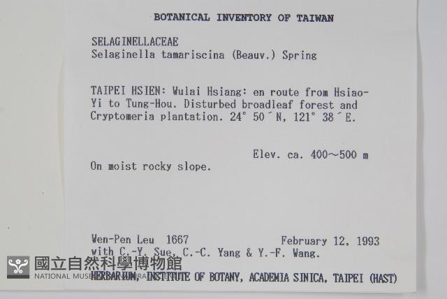 萬年松藏品圖，第2張