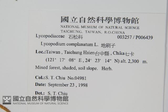 地刷子藏品圖，第2張