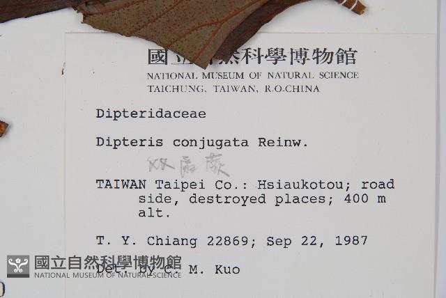 Accession Number:P000469 Collection Image, Figure 2, Total 5 Figures