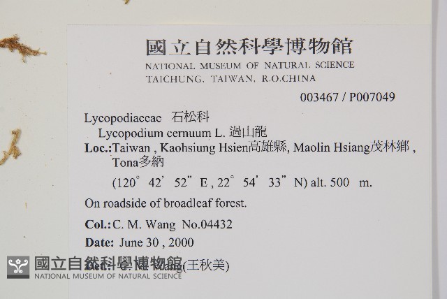 過山龍藏品圖，第2張