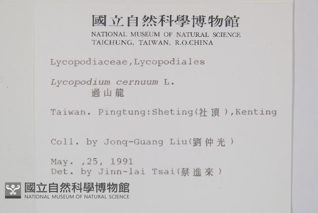 過山龍藏品圖，第2張