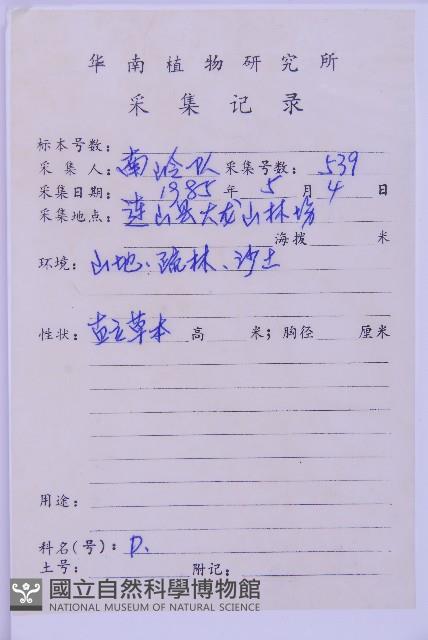 生芽鐵角蕨藏品圖，第3張