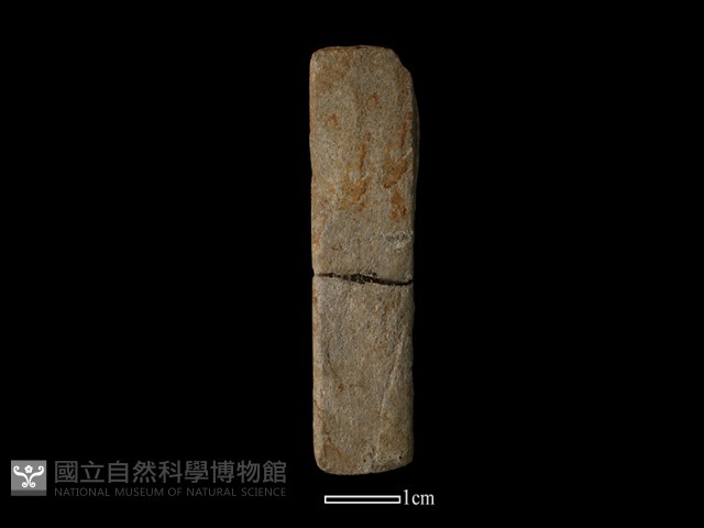 錛鑿形器藏品圖，第1張