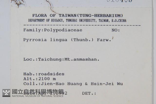 石葦藏品圖，第2張