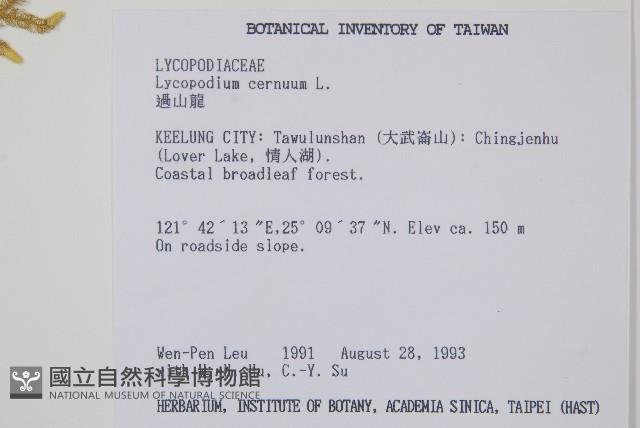 過山龍藏品圖，第2張