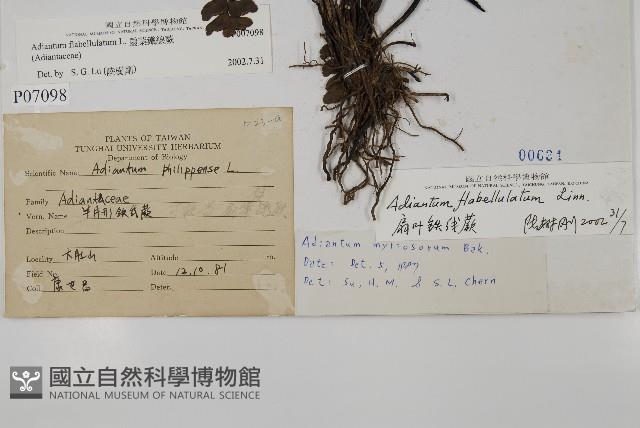 Accession Number:P007098 Collection Image, Figure 2, Total 5 Figures