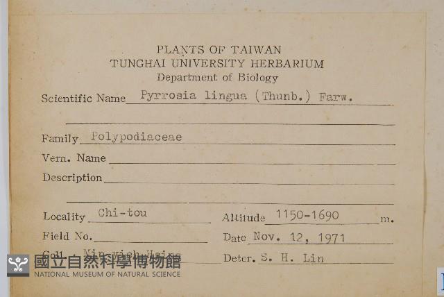 石葦藏品圖，第2張