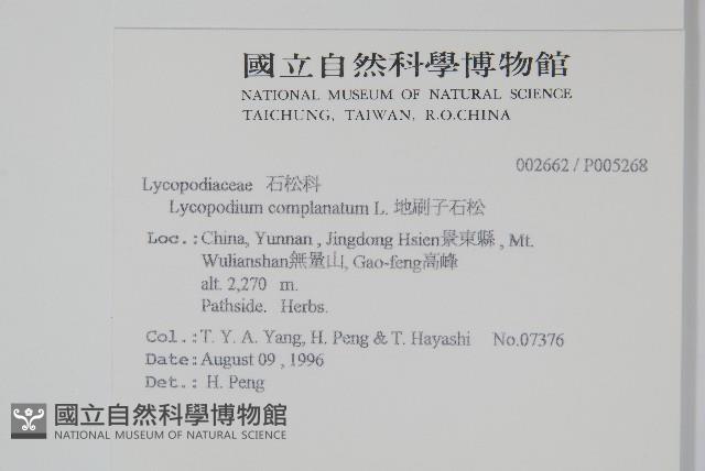 地刷子藏品圖，第2張