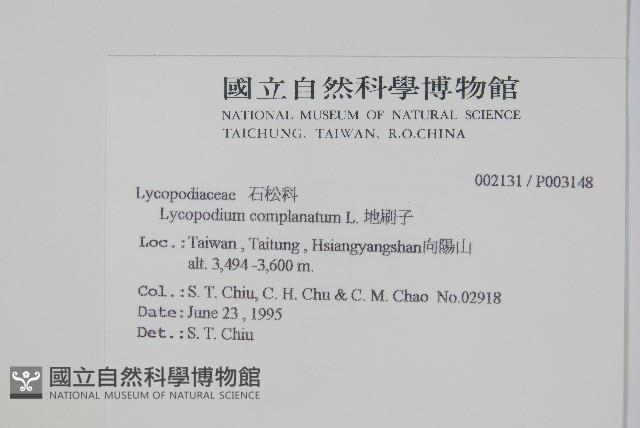 地刷子藏品圖，第2張