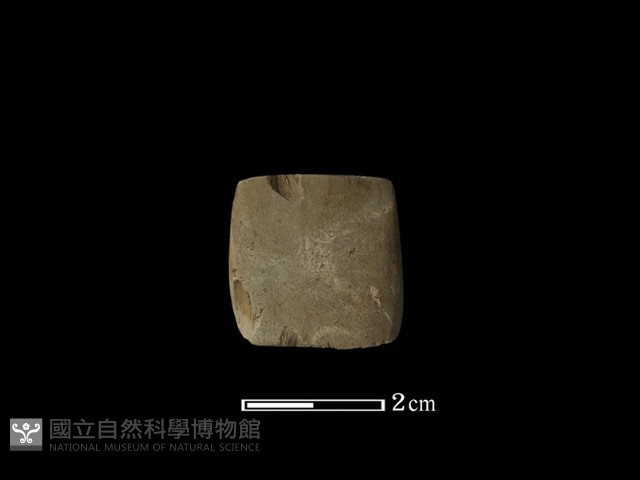 錛鑿形器藏品圖，第3張