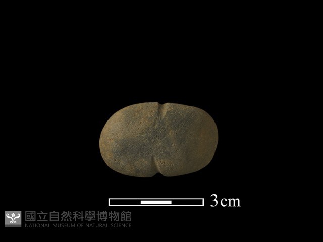 網墜藏品圖，第3張