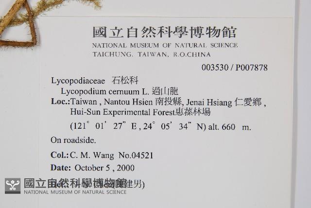 過山龍藏品圖，第2張