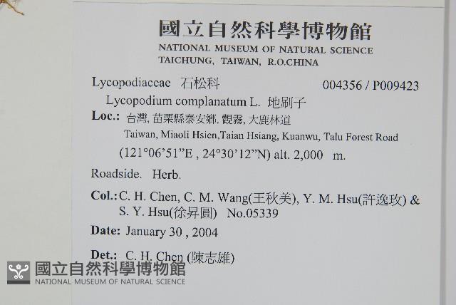 地刷子藏品圖，第2張