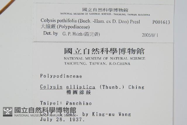 Accession Number:P001613 Collection Image, Figure 2, Total 2 Figures