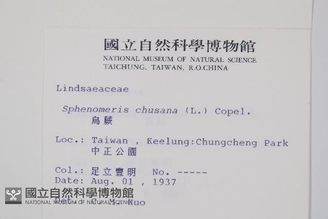 烏蕨藏品圖，第2張