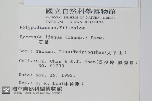 石葦藏品圖，第2張