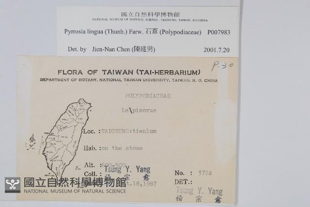 石葦藏品圖，第2張