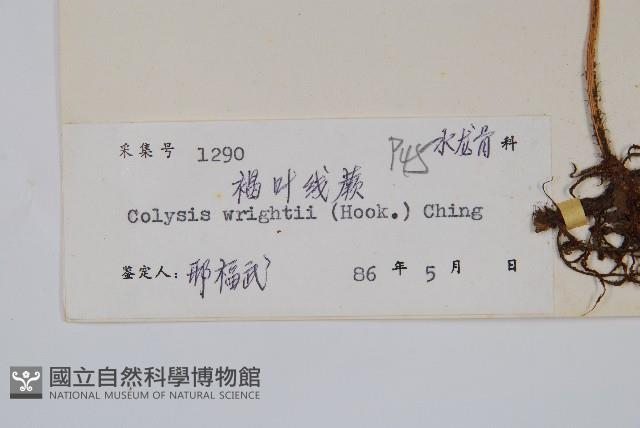 Accession Number:P003383 Collection Image, Figure 2, Total 2 Figures