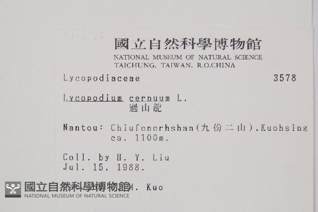 過山龍藏品圖，第2張