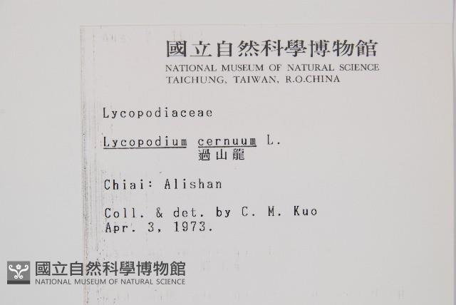 過山龍藏品圖，第2張