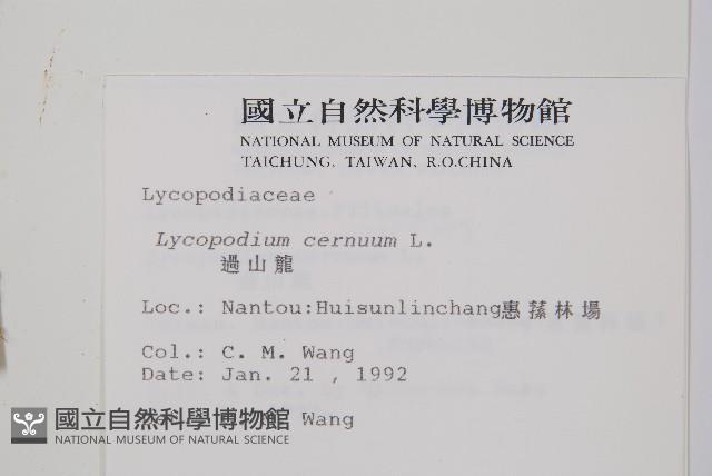 過山龍藏品圖，第2張