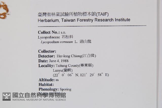 過山龍藏品圖，第2張