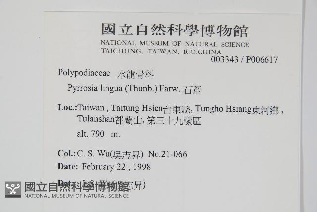 石葦藏品圖，第2張