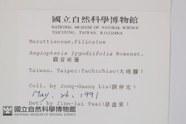 觀音座蓮藏品圖，第2張